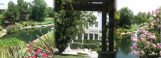 Our History ach building location Our History