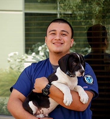 10 tips to succeed in the veterinary assistant program