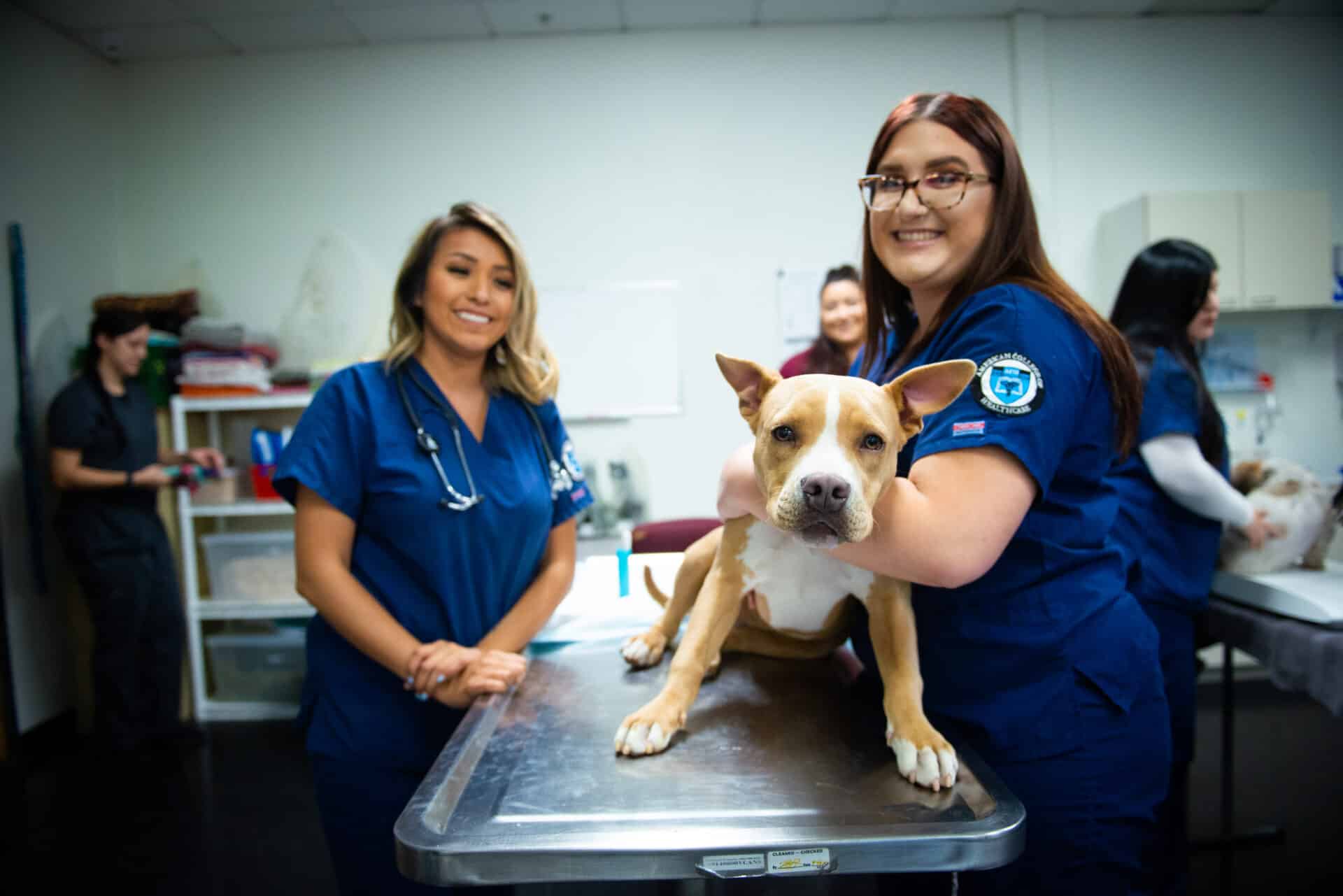 VA program at ACH