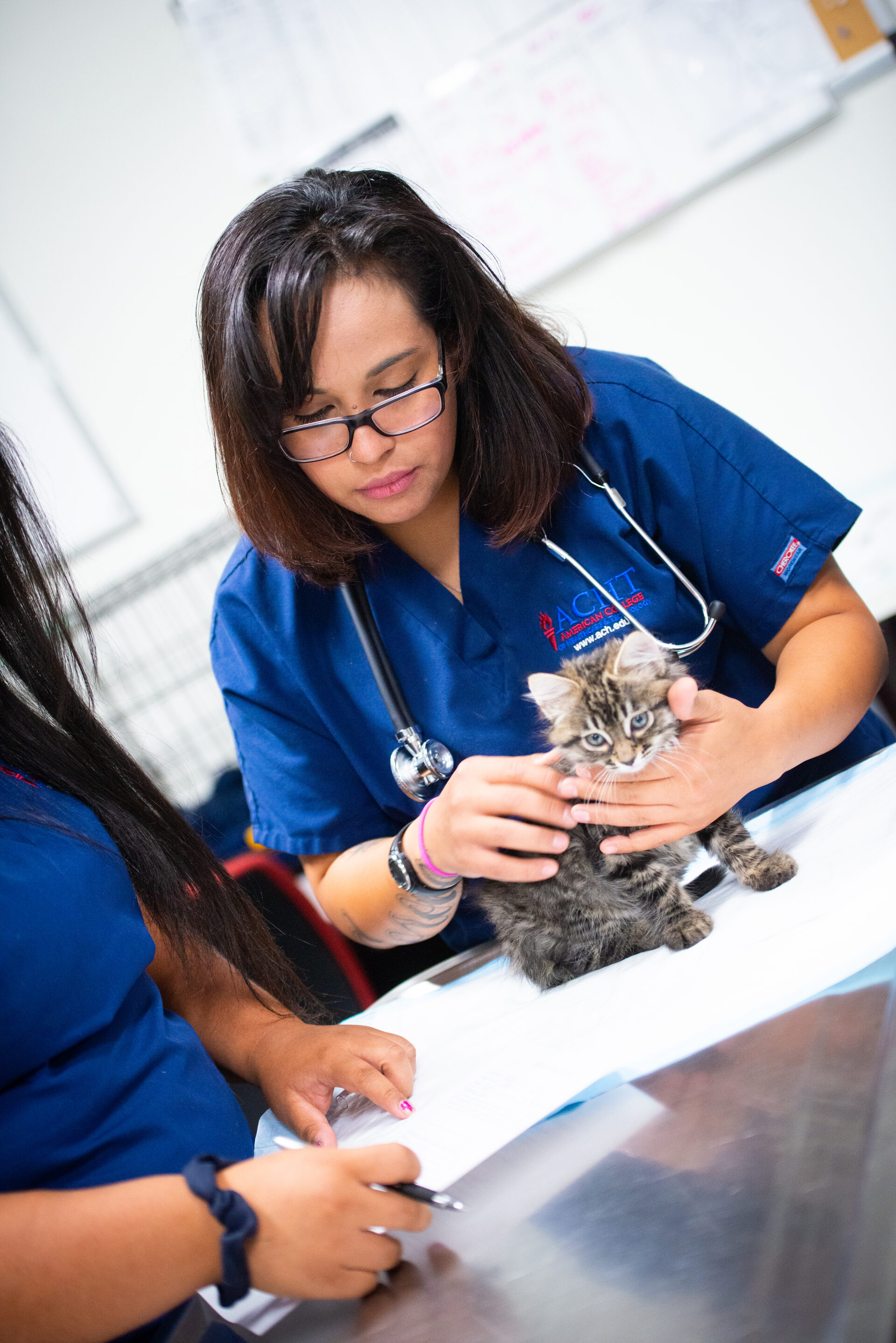 Veterinary Assistant — ACH lab classroom