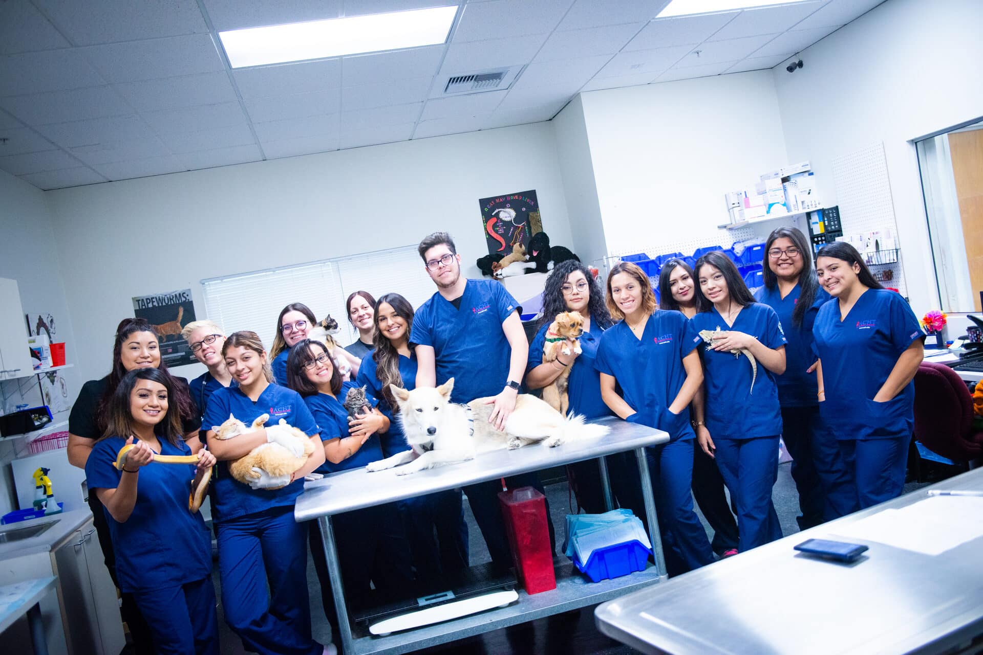 VA program at ACH