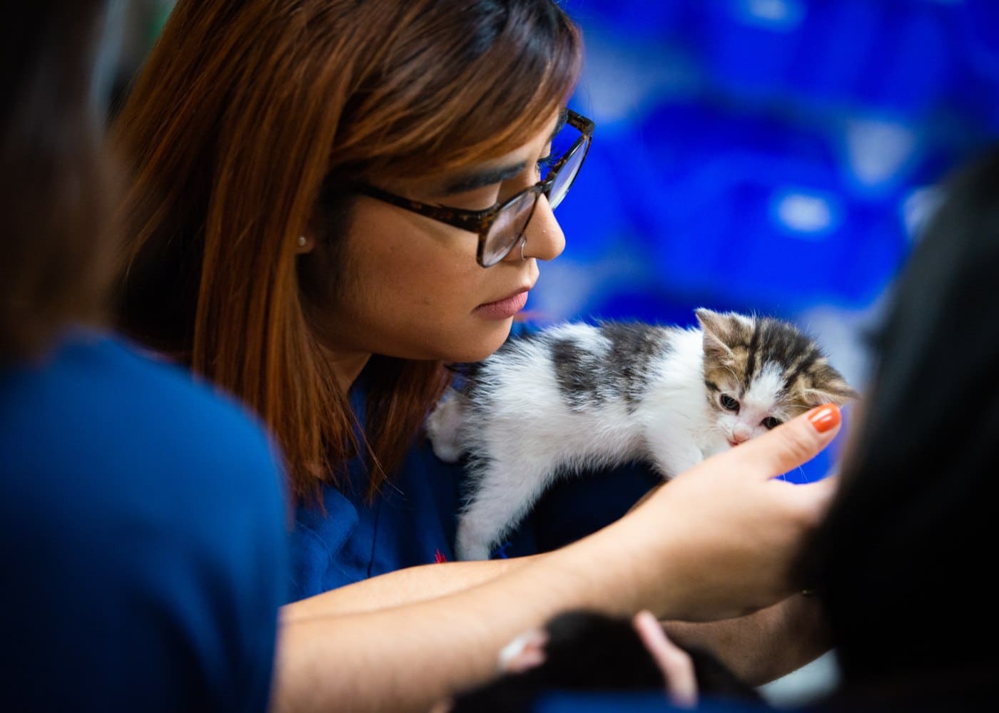 Veterinary Assistant student practicing hands-on animal care skills in the lab