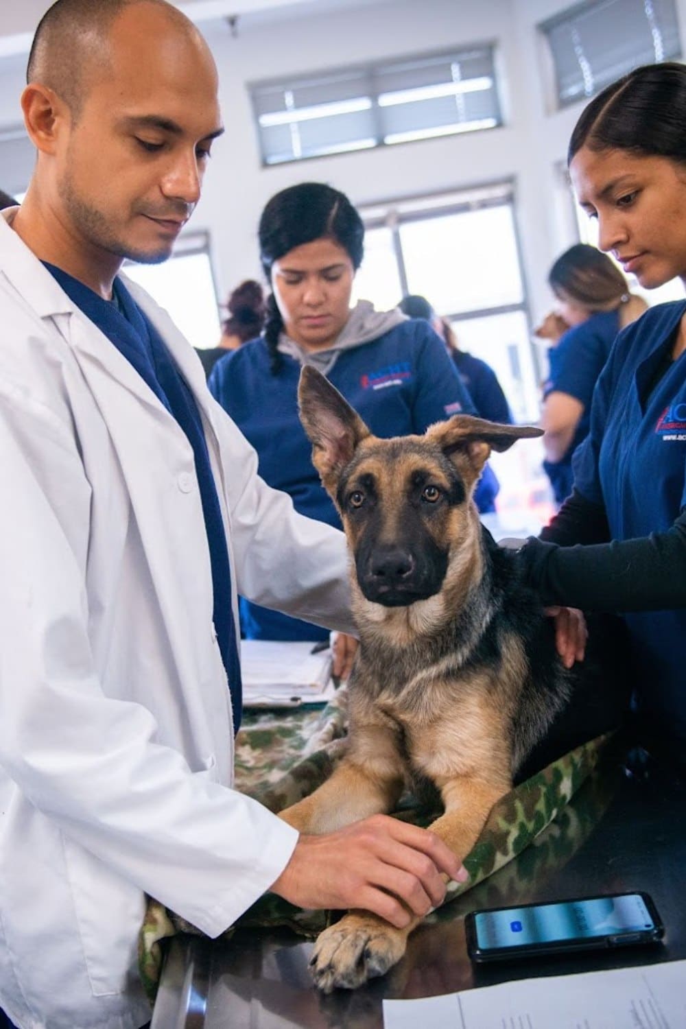 Veterinary Assistant Lab at ACHT Riverside campus